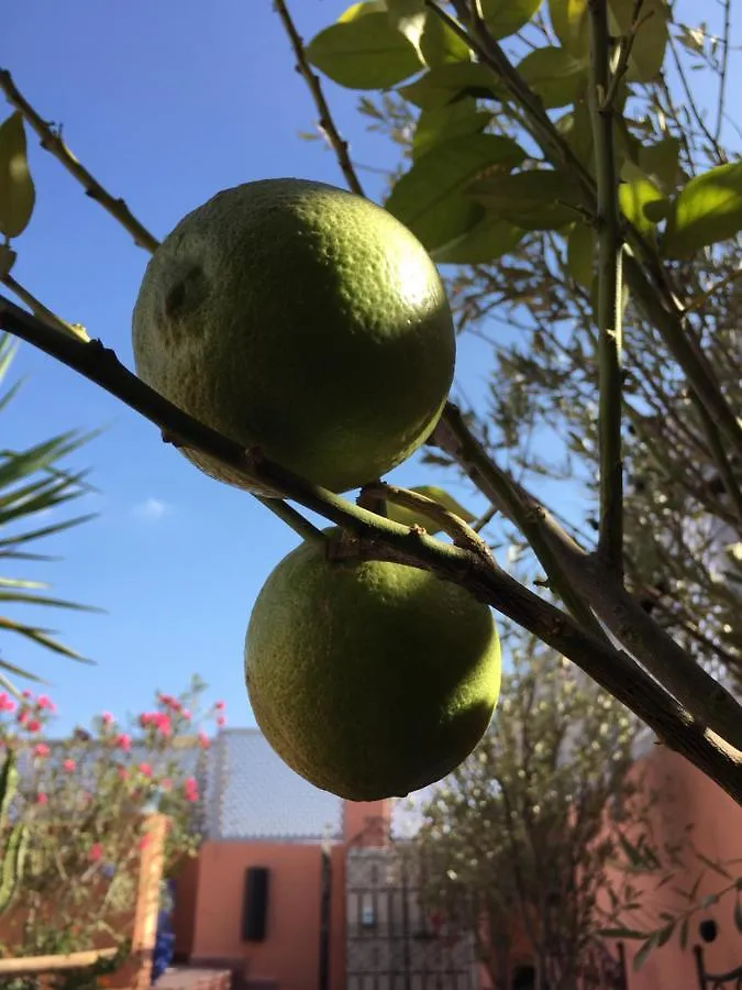 Riad Dar Kasal Bed & Breakfast Marrakesh Morocco